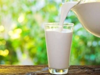 نوشیدن شیر منجر به افزایش قد می‌شود؟
