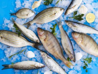۵ نشانه برای فهمیدن تازه و سالم نبودن ماهی