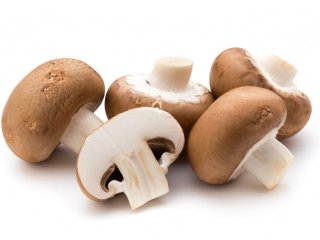 شیوه صحیح شستن قارچ به چه نحوی است؟