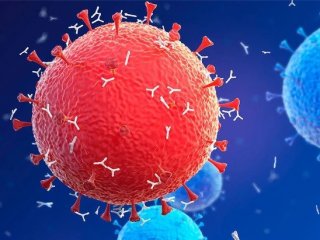 شناسایی ۲۵۷۳ مورد جدید ابتلا به ویروس کرونا