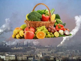کدام مواد غذایی برای روزهای آلوده سال مناسب‌ترند؟