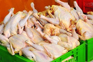 دلیل افزایش قیمت مرغ تا ۴۰ هزار تومان