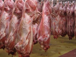 هشدار درباره مصرف گوشت قربانی و احتمال بروز تب کریمه کنگو