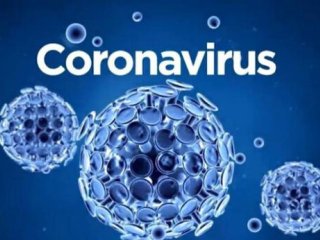 کشف سویه‌های جدید در ویروس کرونا