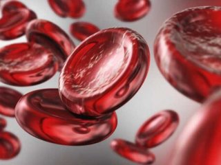 افزایش هموگلوبین خون با این شش ماده غذایی