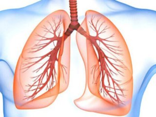علائم شایع‌ترین بیماری مزمن تنفسی در کودکان