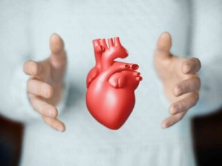 کشف عامل دیگری برای افزایش بیماری قلبی