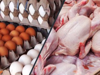 جدیدترین قیمت مرغ و تخم‌مرغ در میادین