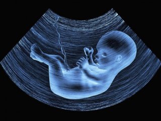 یک ماه تا حذف غربالگری و دشوار شدن سقط جنین