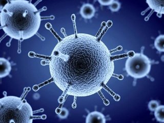 آمار قربانیان آنفلوآنزا؛ ۳۱ نفر جان باختند