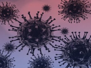 زمستان امسال چه ویروس‌هایی تهدیدمان می‌کنند؟