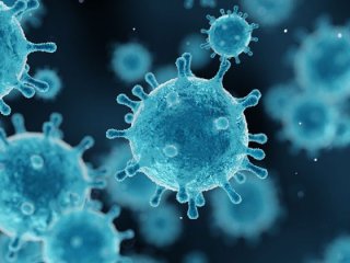 ویروس‌ها چگونه وارد بدن می‌شوند؟