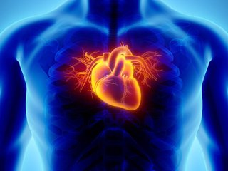 مهم ترین علل تپش قلب + راهکارهایی برای بهبود ضربان قلب