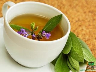 درمان معده درد با 7 چای گیاهی