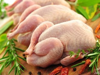 اعلام دلیل جدید برای گرانی مرغ