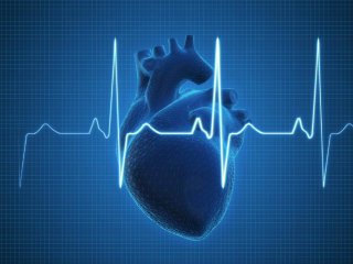 ضربان قلب آهسته موضوعی نگران‌کننده است؟