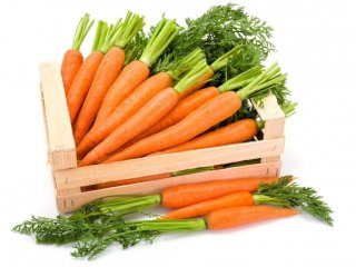 قیمت هویج به کیلویی ۲۰ هزار تومان رسید