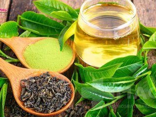 مصرف نرمال چای سبز چقدر است؟