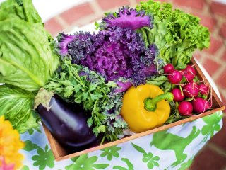 خوش مزه کردن سبزیجات با چند پیشنهاد ساده!