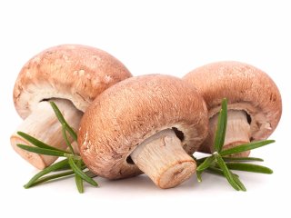 چرا خوردن قارچ بعد از 50 سالگی مفید است؟