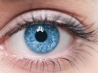 رنگ چشم هایتان درباره شما و اجدادتان چه می‌گوید؟