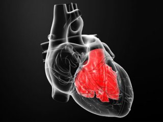 هر آنچه باید در مورد التهاب عضله قلب یا میوکاردیت بدانید!