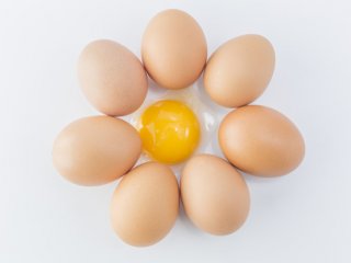 تاثیر زرده تخم مرغ بر رشد مو‌ها