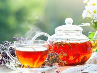 نوشیدن چای باعث افزایش طول عمر می شود
