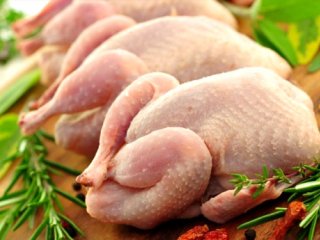 توصیه متخصصان تغذیه به مصرف مرغ‌های کوچک