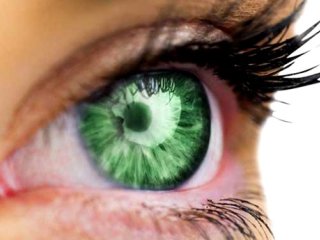 بیماری‌های شبکیه چشم زیر ذره بین