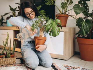 فوت و فن‌های  مراقبت از گیاهان آپارتمانی
