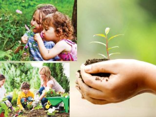 مزایای کاشت دانه گیاه برای کودکان