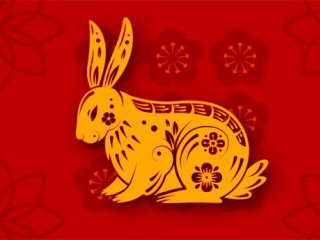 طالع بینی سال خرگوش نماد چیست؟ آیا سال خوبی است؟