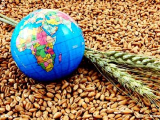 ایران در معرض خطر جدی نا امنی غذایی