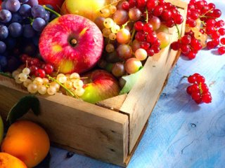 ترفندهایی برای تازه ماندن میو‌ه‌ها