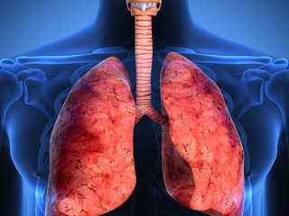 علائم عفونت دستگاه تنفسی چیست؟