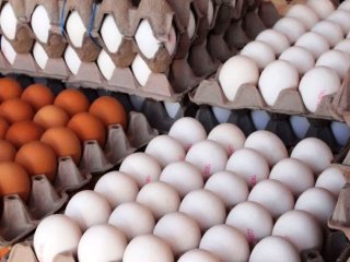 جزئیات عرضه اینترنتی تخم‌ مرغ در سراسر کشور