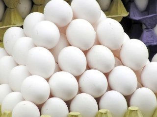 گرانی مجدد تخم مرغ