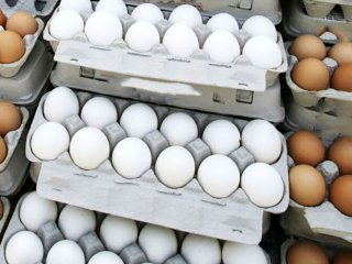 تخم مرغ، رسما و چندباره گران شد