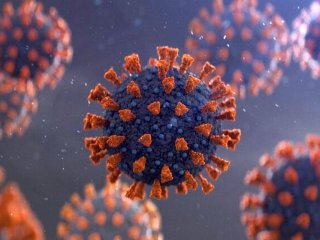 تنها ویروس جهش یافته موجود در کشور «کرونای انگلیسی» است
