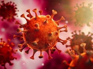 چگونگی زندگی کردن همیشگی با ویروس کرونا