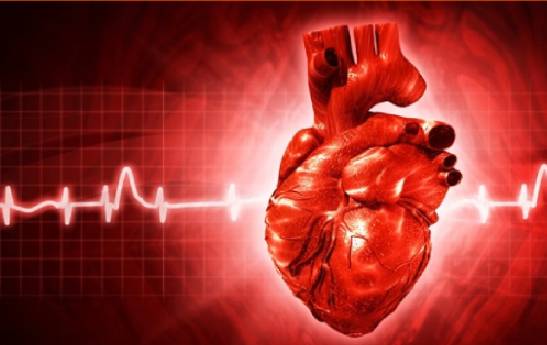 بیماری‌های قلبی عامل اول مرگ و میر ایرانیان