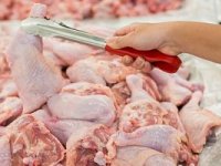 قیمت مرغ گرم به صورت غیررسمی افزایش یافت