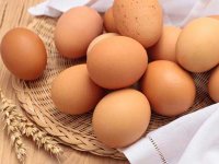 تخم پرندگان در طب سنتی