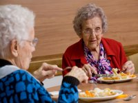تغذیه زنان سالمند (2)
