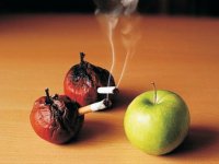 مضرات استعمال دخانیات (2)
