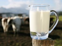 افراط در مصرف شیر باعث کمبود آهن می‌شود