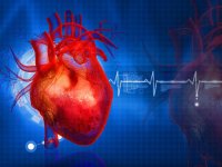 مراقبت از قلب و سیستم همودینامیک در بیماران مرگ مغزی
