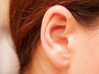 7 واقعیت در مورد گوش‌های‌تان (1)