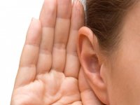 7 واقعیت در مورد گوش‌های‌تان (2)